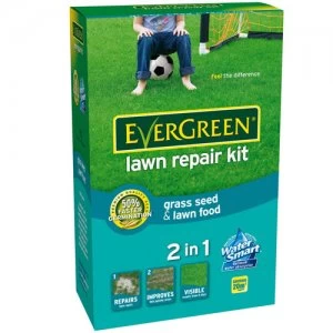 Image of Evergreen Lawn Repair Kit - 1KG