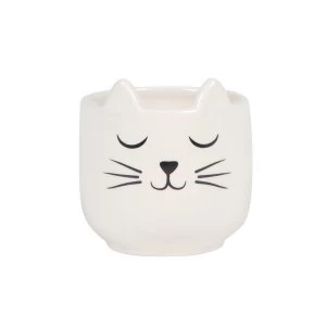 Image of Sass & Belle Mini Cat's Whiskers Planter