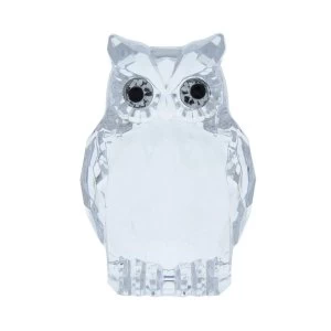 Image of Large Acrylic Owl Two Tone Clear Ornament 8.5cm
