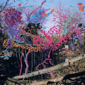 Image of Animal Collective - Here Comes The Indian Vinyl