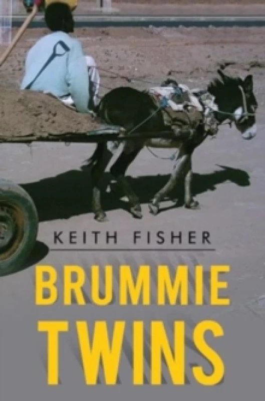 Image of Brummie Twins Paperback / softback