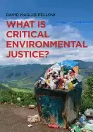 Image of what is critical environmental justice