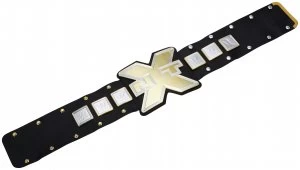 Image of WWE NXT TakeOver Championship Belt