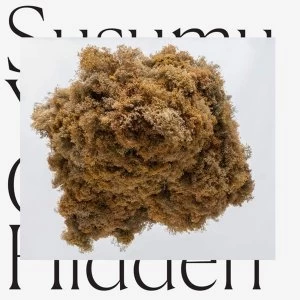 Image of Susumu Yokota - Cloud Hidden Vinyl