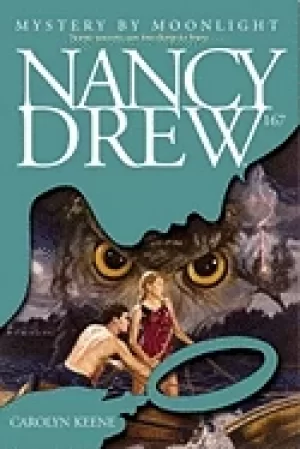 Image of mystery by moonlight