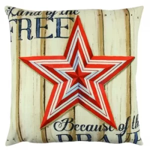 Image of A12610 Multicolor Cushion