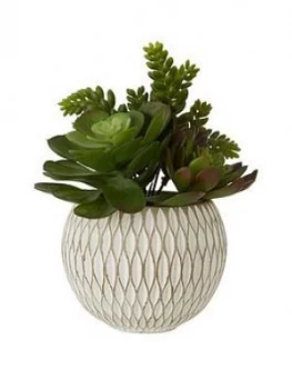 Image of Premier Housewares Flori Mixed Succulent In Ceramic Pot