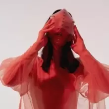 Image of Viene De Largo