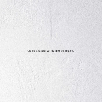 Image of Prairie - And the Bird Said: Cut Me Open and Sing Me Vinyl