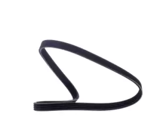 Image of RIDEX V-ribbed belt BMW,FORD,FIAT 305P0015 11287512762,11287512971,128025 128027,5750V0,5750XV,46451652,46542303,7743660,7799581,7007791,V94BF6C301BA