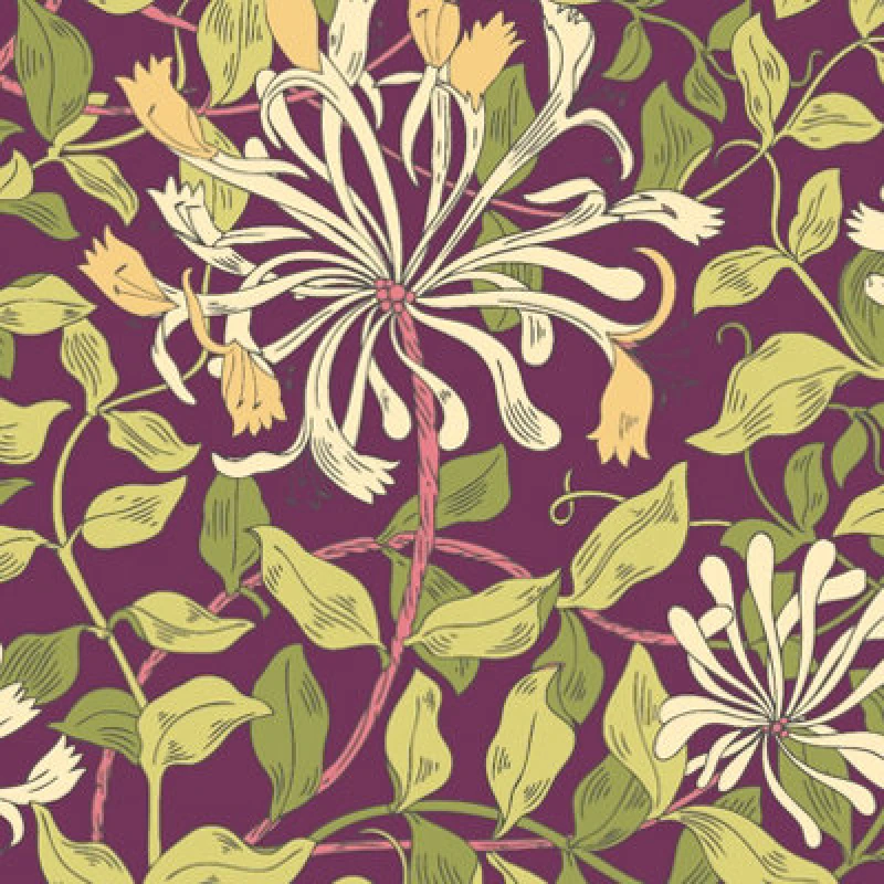 Image of Hoopla Walls Honeysuckle Leaf Trail Aubergine Smooth Matt Wallpaper