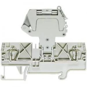 Image of Wieland 56.704.4055.0 WKFN 4 TKG35 0.13 6 mm2 Grey