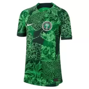 Image of Nike Nigeria Home Shirt 2022/2023 Juniors - Green