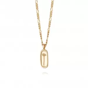 Image of Daisy Flower 18ct Gold Plated Necklace FN03_GP