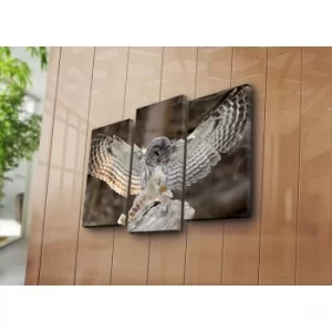 Image of 3NATPAT-2 Multicolor Decorative Canvas Painting (3 Pieces)