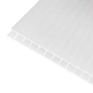 Image of Axiome Opal Effect Polycarbonate Twinwall Roofing Sheet (L)2M (W)690mm (T)10mm