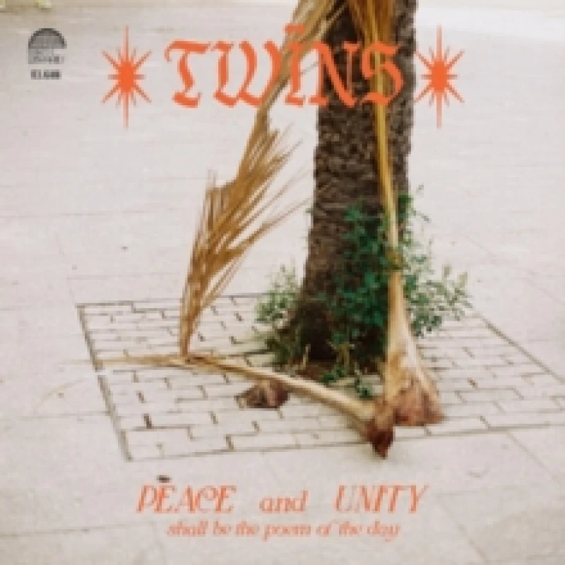 Image of Healing Dreams Vinyl