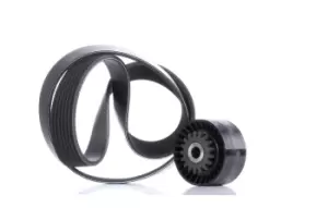 Image of INA V-ribbed belt set RENAULT 529 0016 10 7701478934,8200322233,8200324532 Serpentine belt kit,Auxiliary belt kit,Poly V-belt kit,V-ribbed belt kit