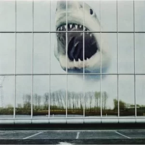 Image of Black Mountain ‎- Wilderness Heart Vinyl