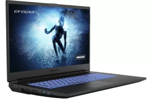 Image of Medion Erazer Defender P15 17.3" Gaming Laptop