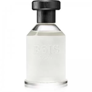 Image of Bois 1920 Agrumi Amari di Sicilia Eau de Parfum Unisex 100ml