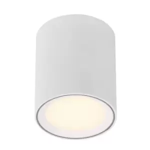 Image of Fallon Long LED Dimmable Surface Mounted Downlight White, 2700K