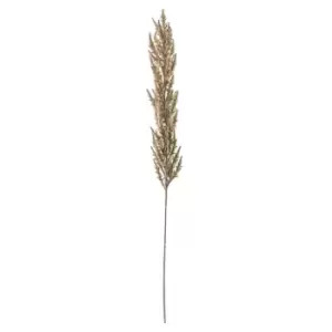 Image of Gallery Interiors Fawn Pampas Grass (3pk)