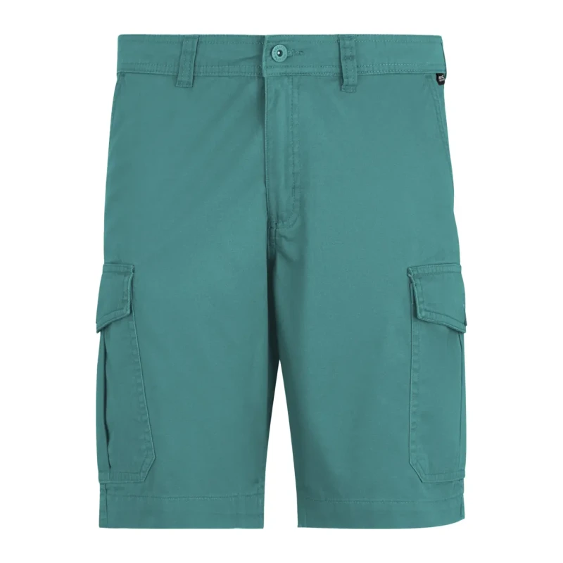 Image of Cargo shorts Regatta Ruwan Casual Vert Male 54