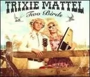 Image of two birds one stone