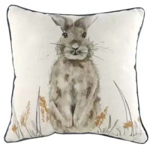 Image of Oakwood Hare Square Cushion Multicolour, Multicolour / 43 x 43cm / Cover Only