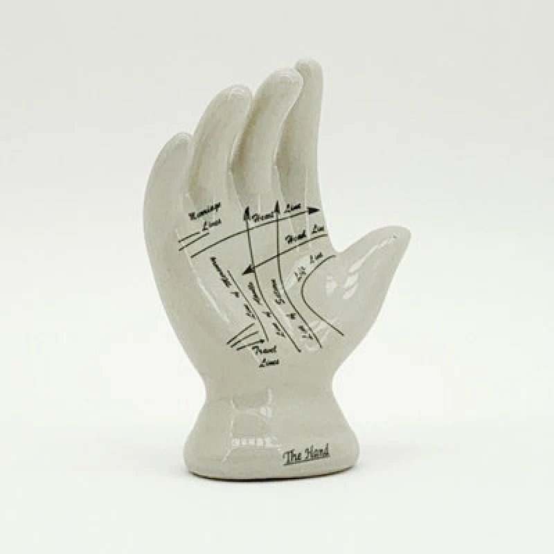 Image of GEKO 7" Palmistry Hand Ornament - L8 x W8 x H17cm 5027015007263