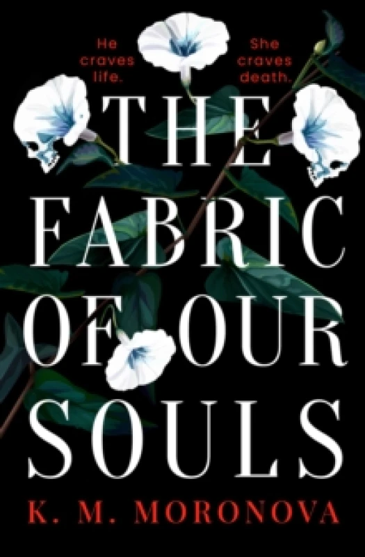Image of The Fabric of Our Souls : The heartbreaking, romantic and emotional thriller that TikTok readers are crying and swooning over Paperback / softback