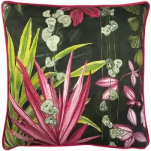 Image of Paoletti Veadeiros Botanical Print 100% Cotton Cushion Cover, Pink, 43 x 43 Cm