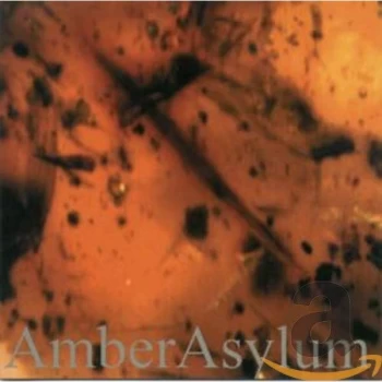 Image of Amber Asylum - Frozen In Amber CD
