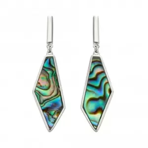 Image of Asymmetric Abalone Earrings E5895