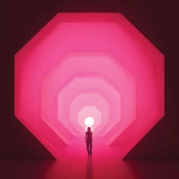 Image of Lapalux - Amnioverse Vinyl