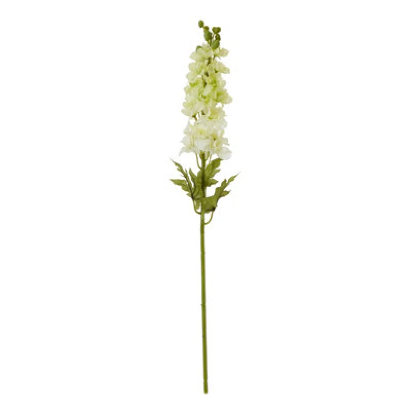 Image of The Natural Garden Collection White Elatum Delphinium