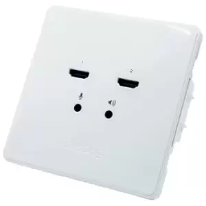 Image of BirdDog Wallplate Dual Input