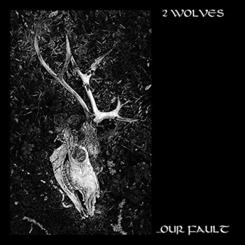 Image of 2 Wolves - ...Our Fault CD