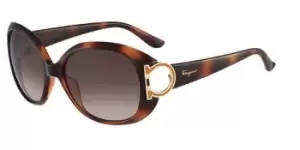 Image of Salvatore Ferragamo Sunglasses SF 668S 238
