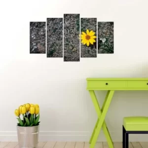 Image of 5PMX-053 Multicolor Decorative MDF Painting (5 Pieces)