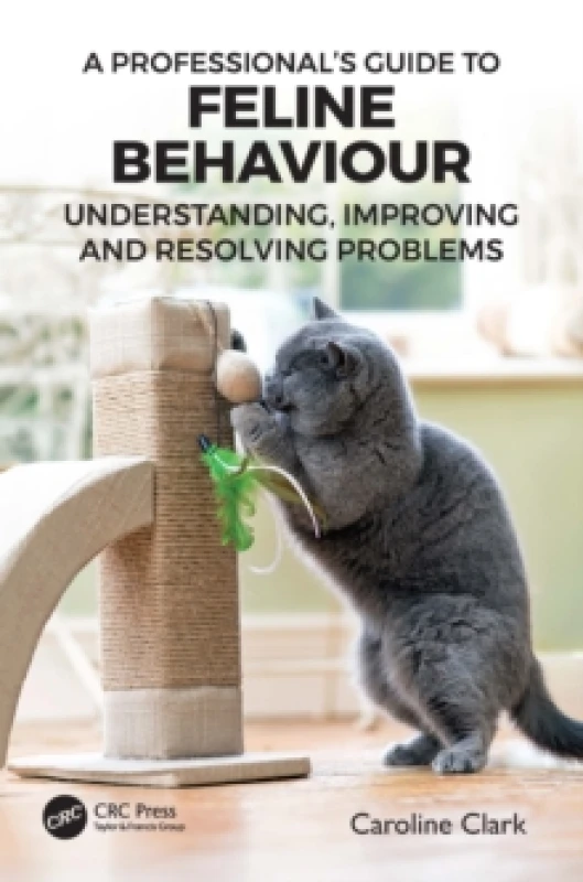 Image of A Professionals Guide to Feline Behaviour : Understanding, Improving and Resolving Problems Paperback / softback