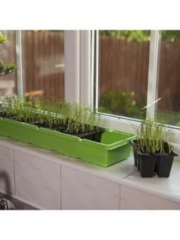 Image of Windowsill Propagator Kit - 3 X Propagator Sets