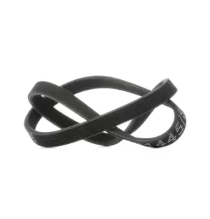 Image of RIDEX V-ribbed belt VW,SEAT 305P0153 038903137S,038903137S Serpentine belt,Auxiliary belt,Poly V-belt,Ribbed belt,Multi V-belt,Poly belt