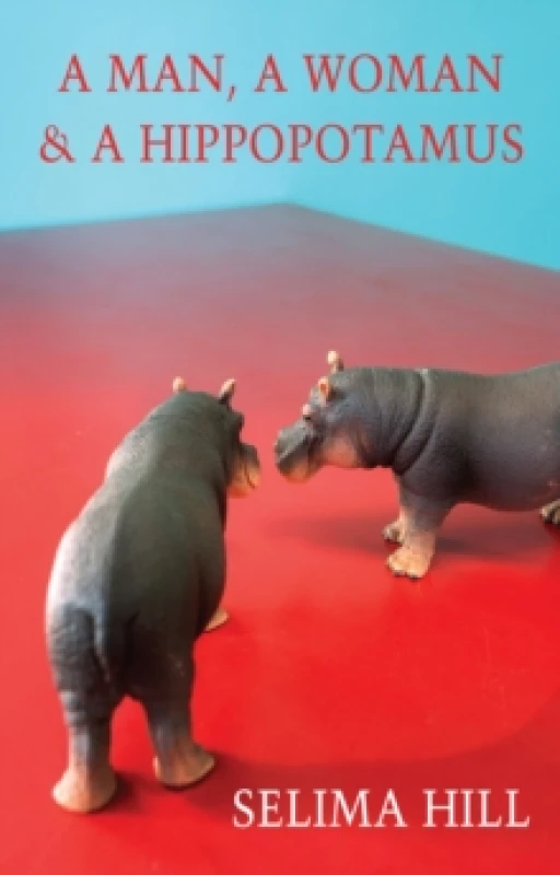 Image of A Man, a Woman & a Hippopotamus Paperback / softback