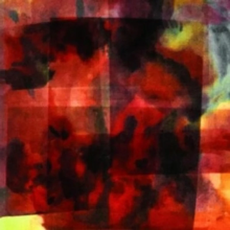 Image of In this forever unfolding moment Vinyl