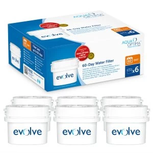 Image of Aqua Optima Evolve 60 Day Water Filter