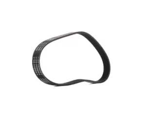 Image of RIDEX PLUS V-ribbed belt 305P0450P Serpentine belt,Auxiliary belt VW,AUDI,SKODA,Golf VII Schragheck (5G1, BQ1, BE1, BE2),Polo Schragheck (6R1, 6C1)
