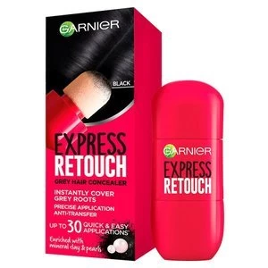 Image of Garnier Express Root Retouch 10ml Black 1.0