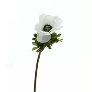 Image of White Anemone Stem